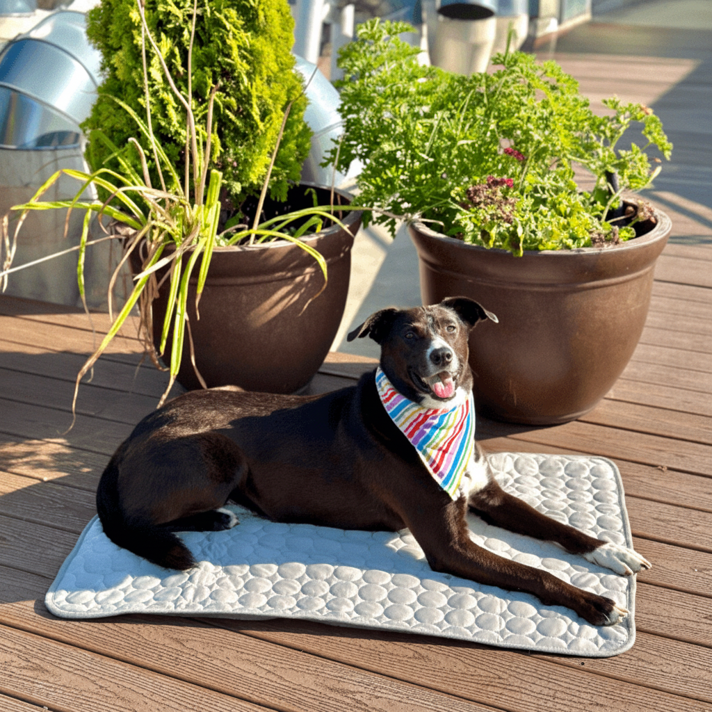 Travel-Friendly Cooling Mat for Dogs