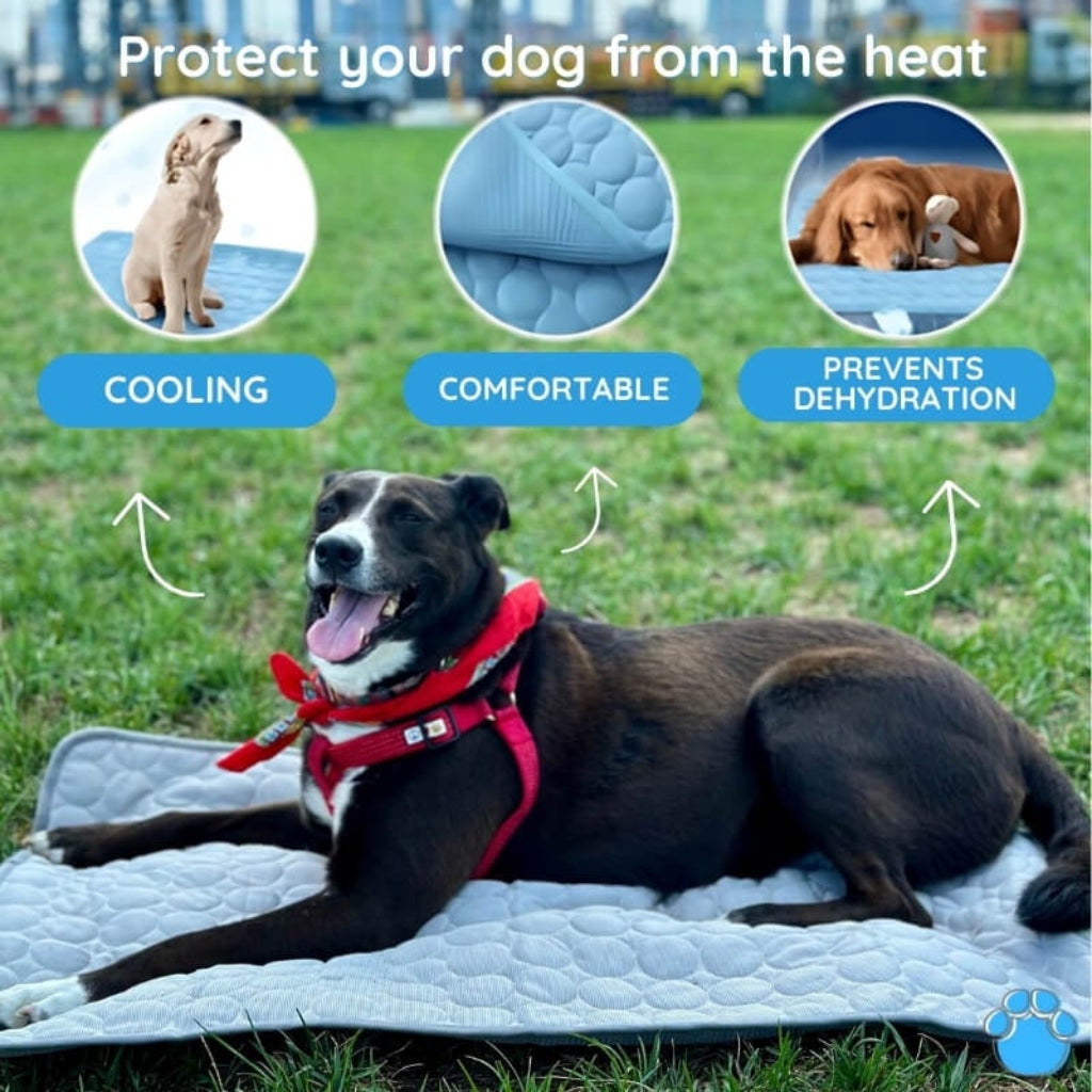 Travel-Friendly Cooling Mat for Dogs